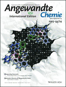 AngewChemIntEd_54_7130(2015-cover)