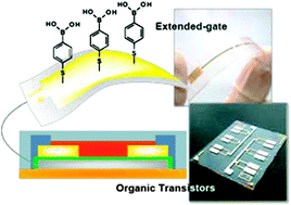 ChemCommun_50_15613(2014)