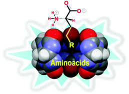 ChemCommun_50_61(2014)