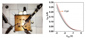 graphical-abstract